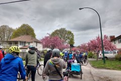 20170429_1106_Bike-the-Blossoms-Kanzan-Stop-1_-Yaletowner