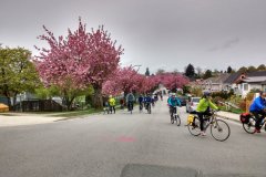 20170429_1106_Bike-the-Blossoms-Midpoint-2_-Yaletowner