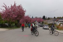 20170429_1106_Bike-the-Blossoms-Midpoint-3_-Yaletowner