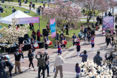 Cherry-Blossom-Festival-Big-Picnic-2023-7405787_Al Lau