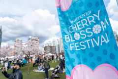 Cherry-Blossom-Festival-Big-Picnic-2023-7406348_Al Lau