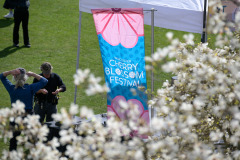 Cherry-Blossom-Festival-Big-Picnic-2023-9020_Al Lau