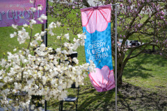 Cherry-Blossom-Festival-Big-Picnic-2023-9024_Al Lau