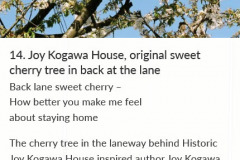 14-Joy-Kogawa-House-back-lane