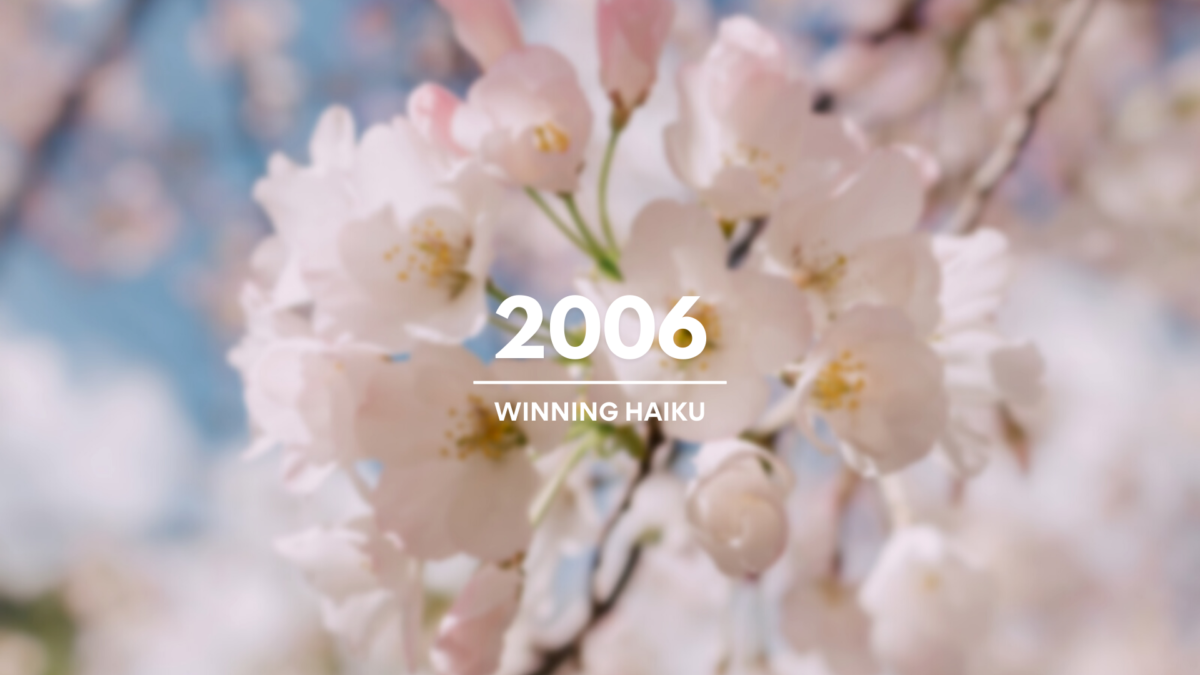 2006 Winning Haiku Vancouver Cherry Blossom Festival 