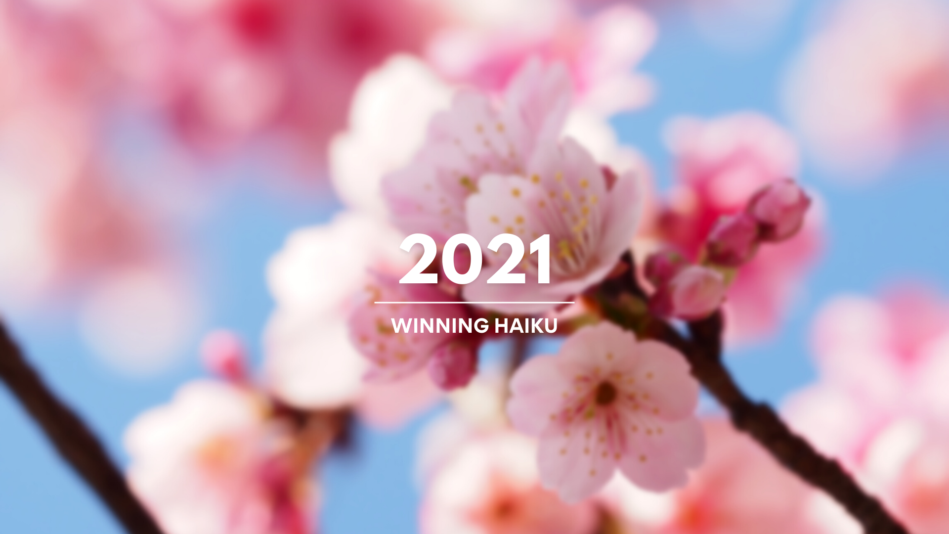 2021 Winning Haiku Vancouver Cherry Blossom Festival